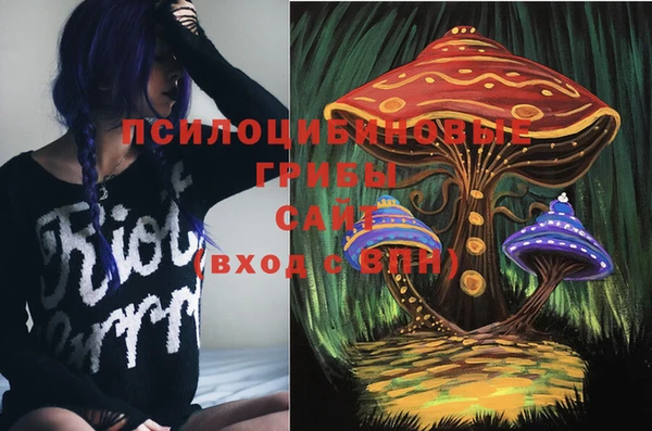 дмт Арсеньев