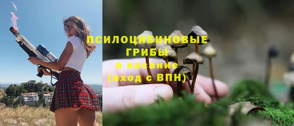 ALPHA PVP Армянск