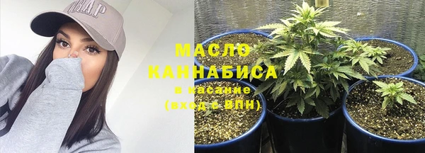 дмт Арсеньев