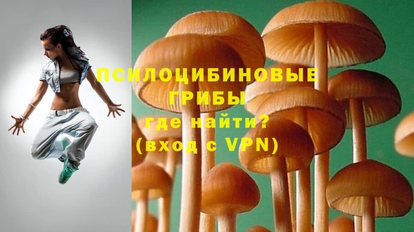 герыч Аркадак