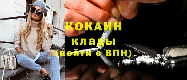 дмт Арсеньев