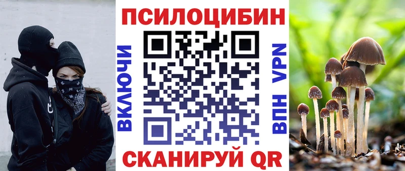 ОМГ ОМГ ССЫЛКА  Лермонтов  Псилоцибиновые грибы Psilocybine cubensis 